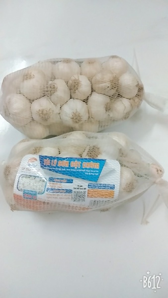 Tỏi chùm