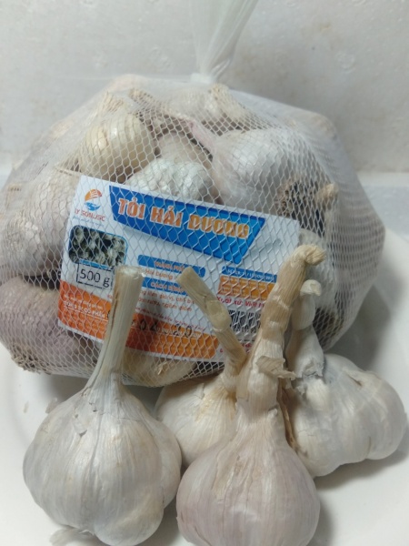 Tỏi Hải Dương