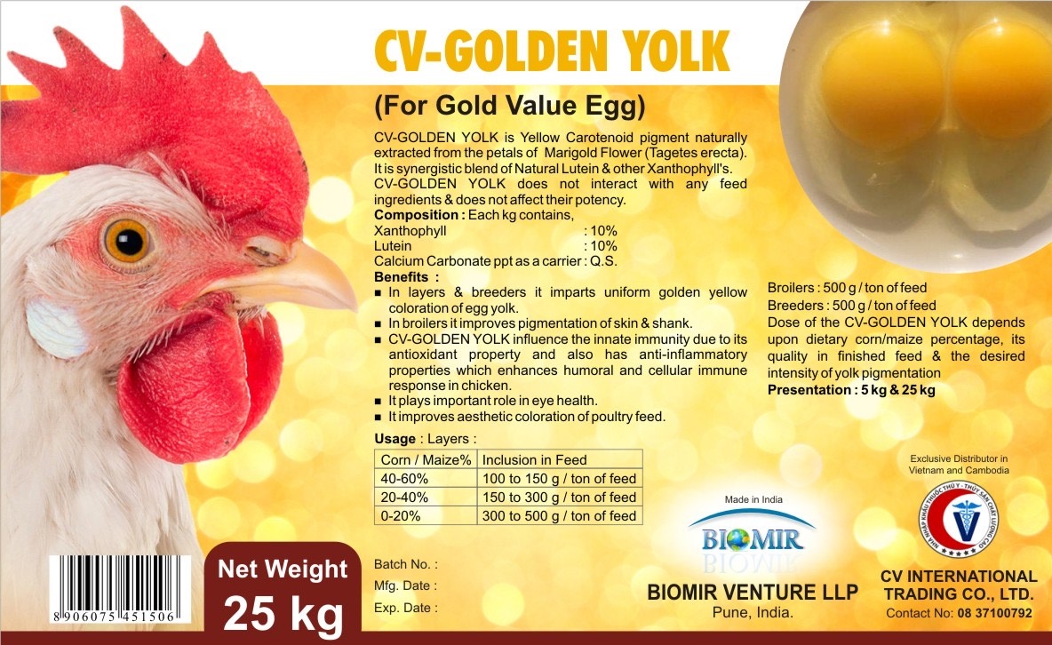 CV - Golden Yolk