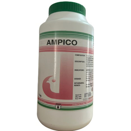 AMPICO