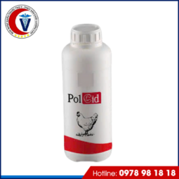 PolCid