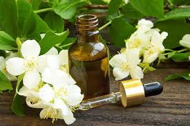Công Ty Cổ Phần Sản Xuất Và Xuất Nhập Khẩu Tân Phú
