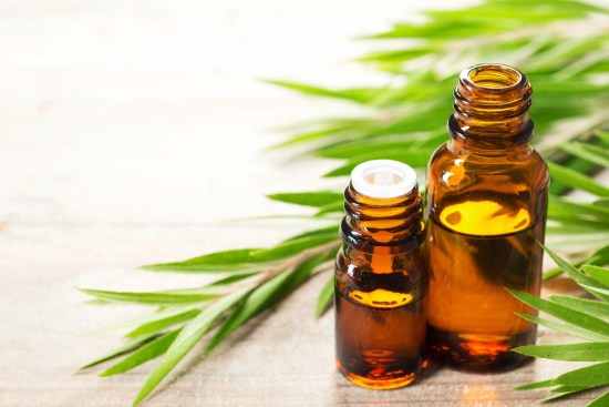 Công Ty Cổ Phần Sản Xuất Và Xuất Nhập Khẩu Tân Phú