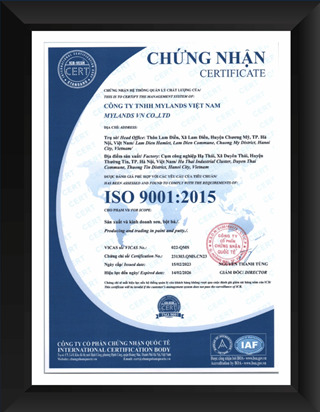 Chứng nhận ISO 9001:2015