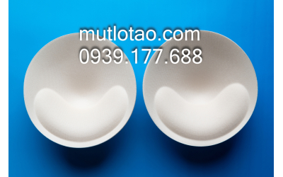 Mút áo lót hình tròn TDL