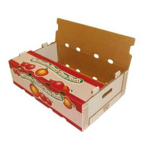 In thùng carton đựng trái cây - In Bao Bì Giấy Vietpacking - Công Ty TNHH Việt Vạn Nhất