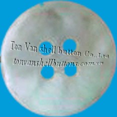 Nút áo Agoya - Nút Áo Tôn Văn - Công Ty TNHH Nút Áo Tôn Văn