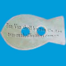 Nút áo Agoya - Nút Áo Tôn Văn - Công Ty TNHH Nút Áo Tôn Văn