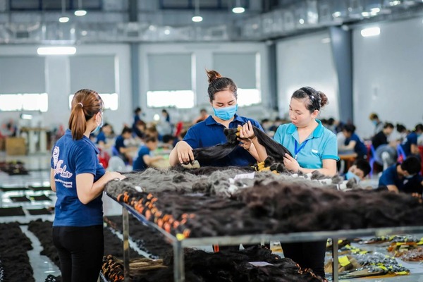 Công ty Jera Việt Nam