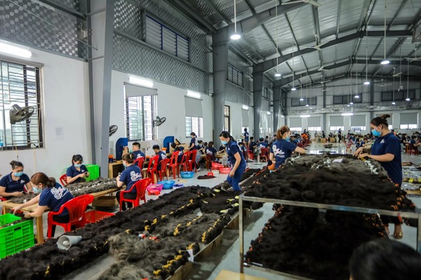 Công ty Jera Việt Nam