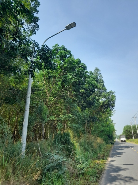 Đèn chiếu sáng - Thi Công Trạm Biến áp Phú Minh An - Công Ty TNHH Tư Vấn Xây Dựng Phú Minh An