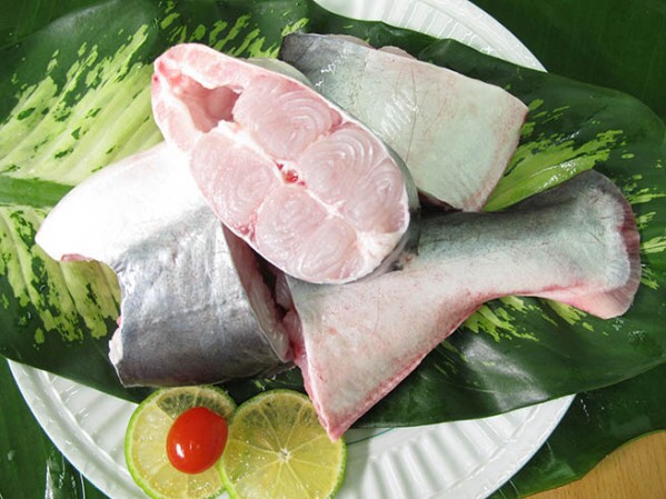 Thủy Hải Sản Fando Feed – Công Ty TNHH Fando Feed