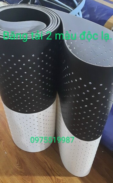 Băng tải 2 màu