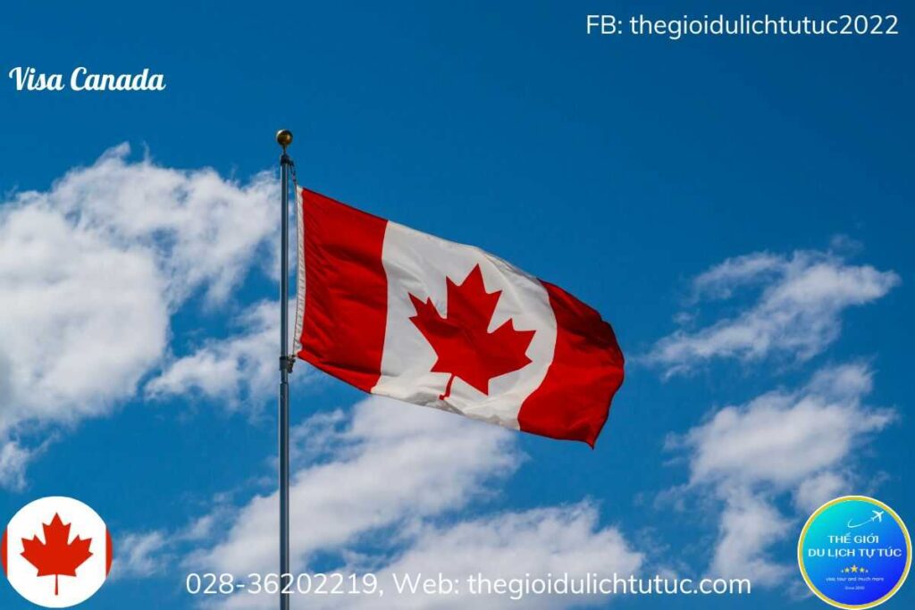 Visa Canada - Công Ty TNHH Thế Giới Du Lịch Tự Túc