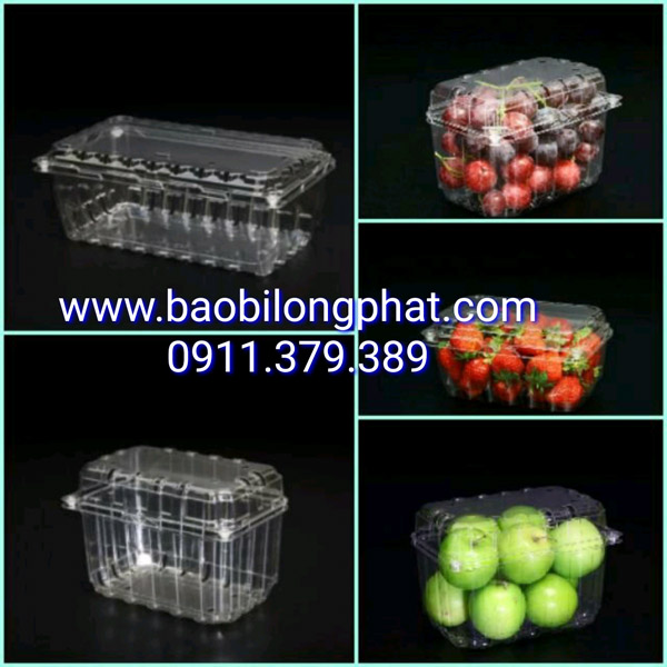 Hộp jadebox (trái cây) - Bao Bì Long Phát - Công Ty TNHH Bao Bì Long Phát