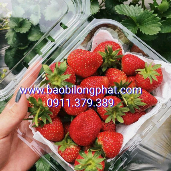 Hộp P500D - Bao Bì Long Phát - Công Ty TNHH Bao Bì Long Phát