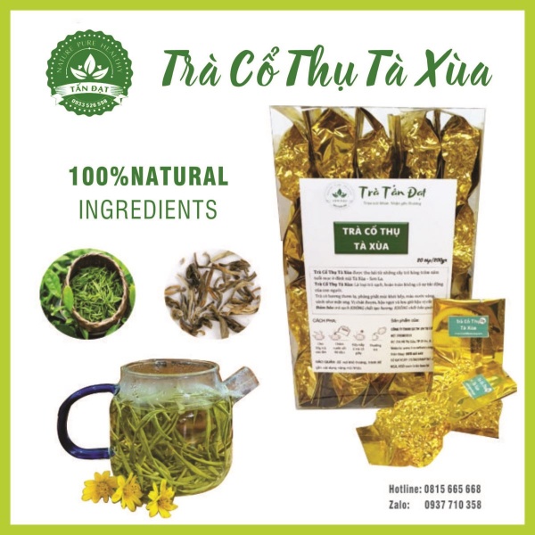 Trà cổ thụ Tà Xùa