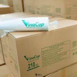 Cốc giấy, ly giấy - Ly Giấy Vinacup - Công Ty TNHH Sản Xuất Và Thương Mại Vinacup
