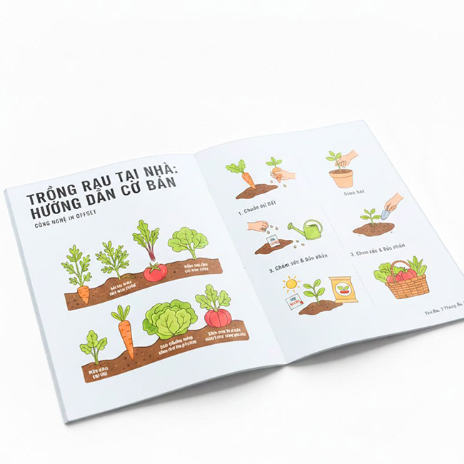 In sách hướng dẫn - Nhà Máy Sản Xuất Bao Bì Hoàng Gia - Công Ty Cổ Phần Hạ Long Group