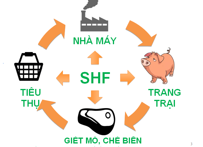  - Thực Phẩm Nam Hà Nội - Công Ty CP Tập Đoàn Chế Biến Thực Phẩm Nam Hà Nội