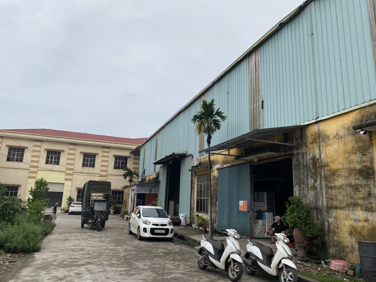 Hình ảnh công ty Đạt Linh Hương - Giấy Vệ Sinh SumPo, SENDAI, TAROKO - Công Ty TNHH Đầu Tư Phát Triển Thương Mại Và Dịch Vụ Đạt Linh Hương