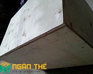 Thùng gỗ TG 09