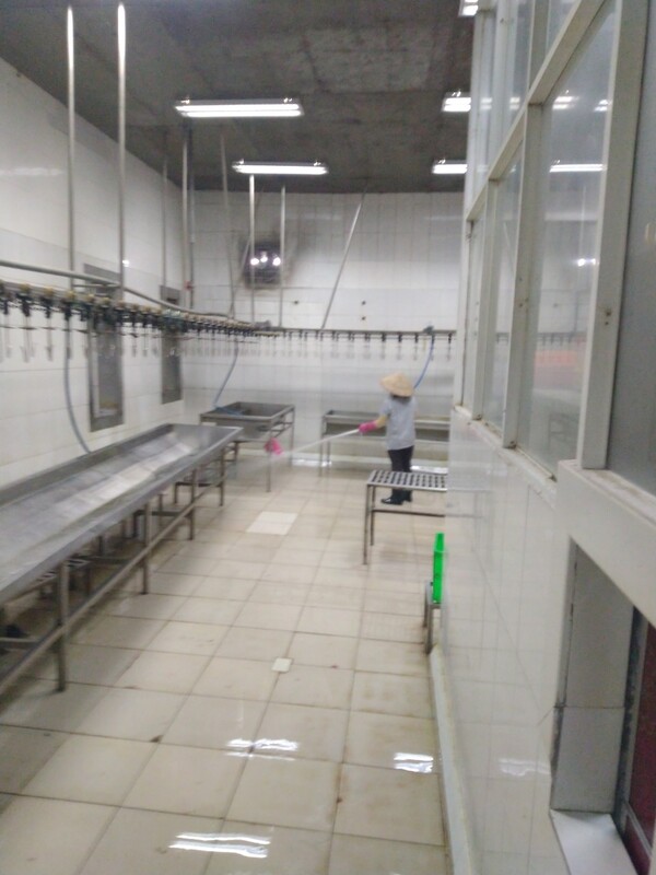 Dịch vụ cung cấp tạp vụ