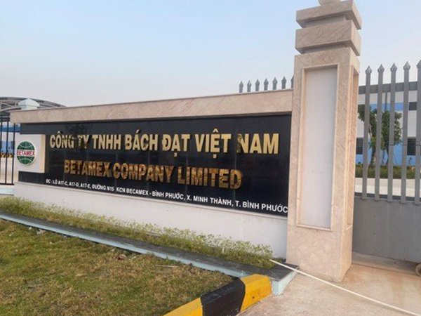 Hình ảnh công ty Bách Đạt