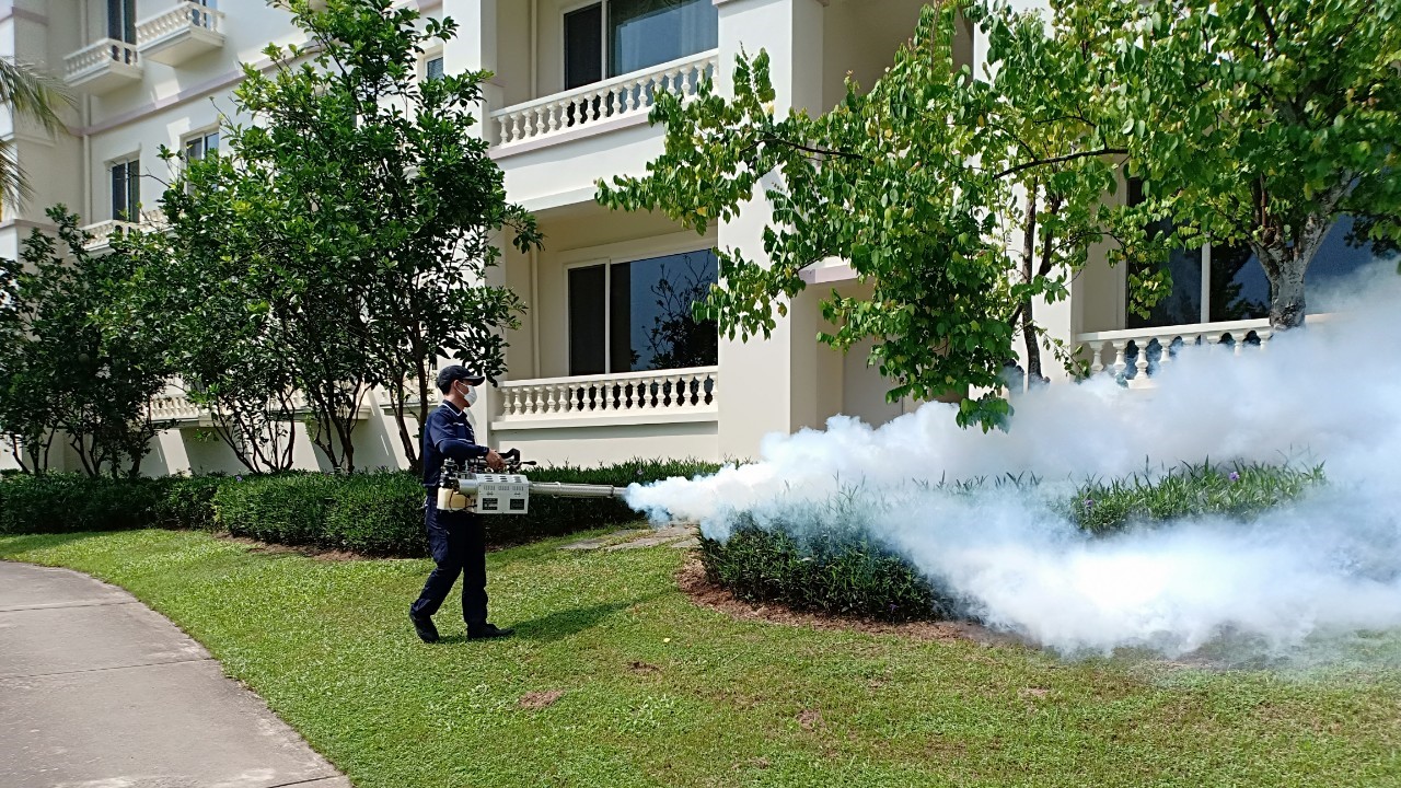 Dịch vụ kiểm soát côn trùng