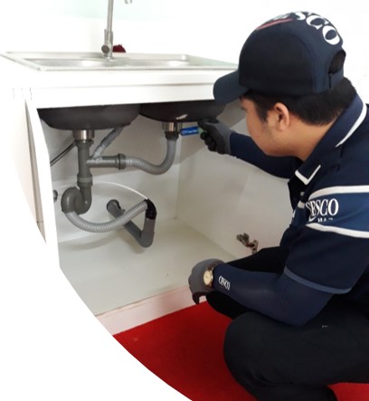Diệt chuột, dịch vụ diệt chuột - Diệt Côn Trùng CESCO - Công Ty TNHH CESCO Việt Nam - Chi Nhánh Hà Nội