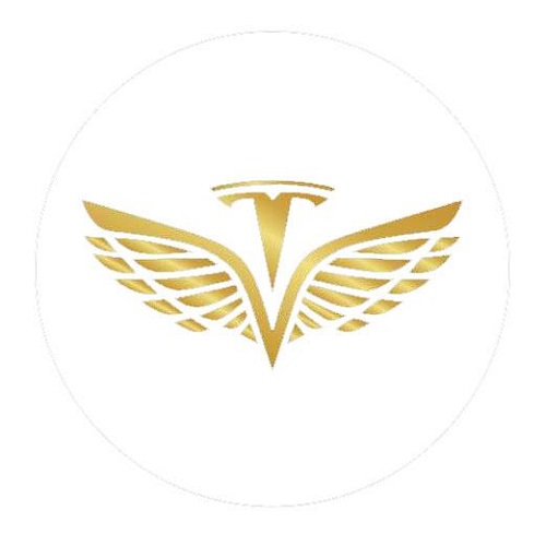 Logo công ty - Công Ty TNHH Thương Mại Quốc Tế Thái Vân