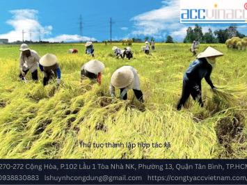 Thủ tục thành lập hợp tác xã - Công Ty TNHH Dịch Vụ Tư Vấn ACC Việt Nam - Thành Lập Công Ty - Kế Toán - Luật Sư