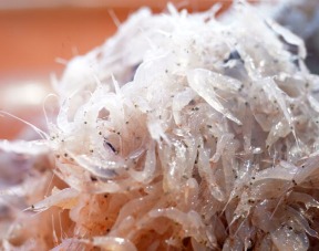 Thủy sản - Công Ty Cổ Phần Thực Phẩm Sa Kỳ