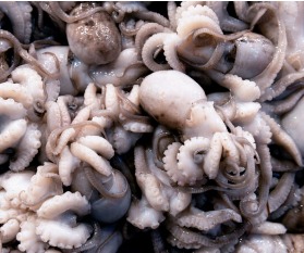 Thủy sản - Công Ty Cổ Phần Thực Phẩm Sa Kỳ