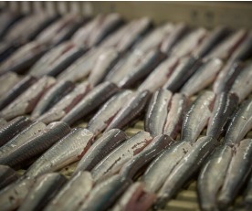 Thủy sản - Công Ty Cổ Phần Thực Phẩm Sa Kỳ