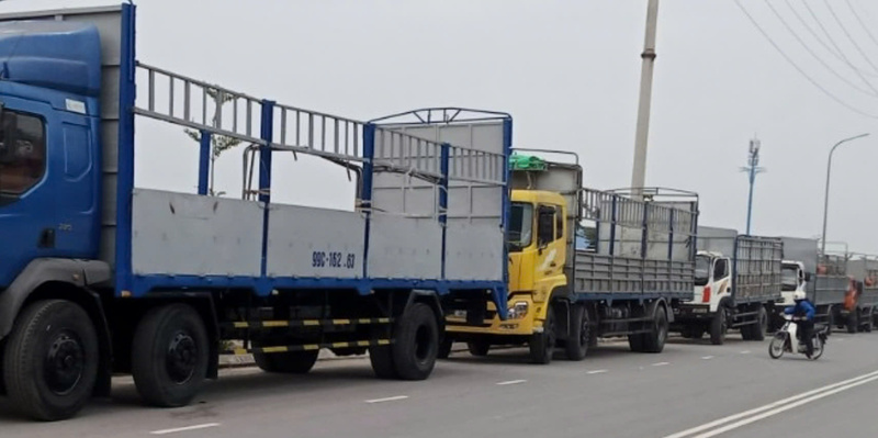 Vận tải bằng xe Container