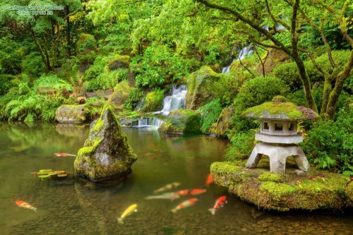 Thi Công Sân Vườn Biệt Thự  – Công Ty Cổ Phần Tây Âu Landscape