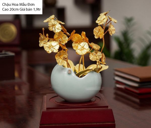 Chậu hoa mẫu đơn