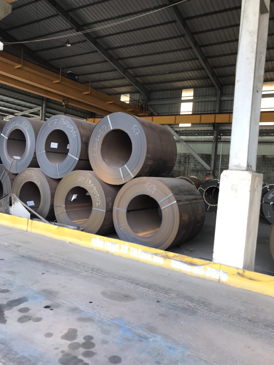 Thép cuộn - Thép Tân Thịnh Phát - Công Ty TNHH Một Thành Viên Thương Mại Sắt Thép Tân Thịnh Phát