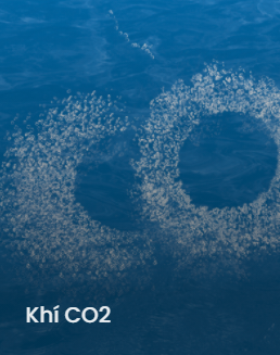 CO2 - Công Ty Trách Nhiệm Hữu Hạn Khí Công Nghiệp Messer Hải Phòng