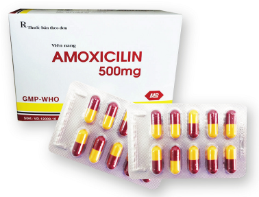 Amoxicillin - Công Ty CP Dược Phẩm Và Sinh Học Y Tế