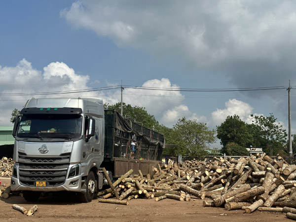 Gỗ nguyên liệu FSC - Lâm Sản Bình Dương - Công Ty Cổ Phần Kinh Doanh Lâm Sản Bình Dương