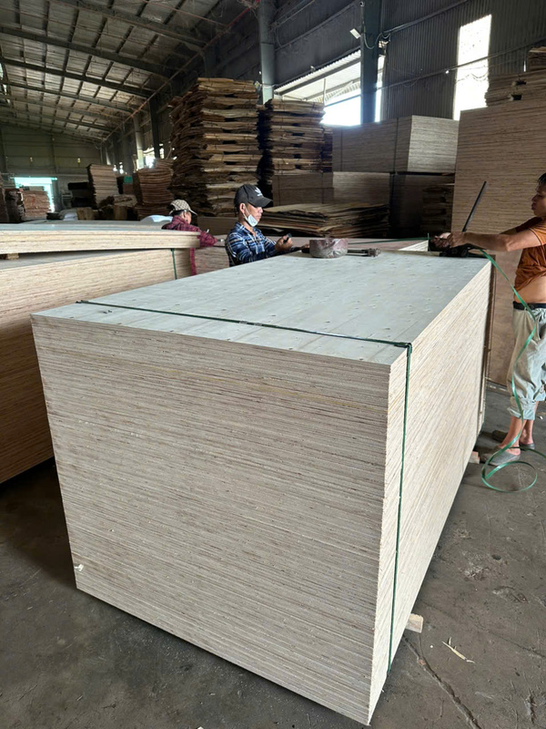 Hàng bao bì BC - Ván ép Kinh Bắc - Công Ty TNHH Đầu Tư Thương Mại Xuất Nhập Khẩu Kinh Bắc