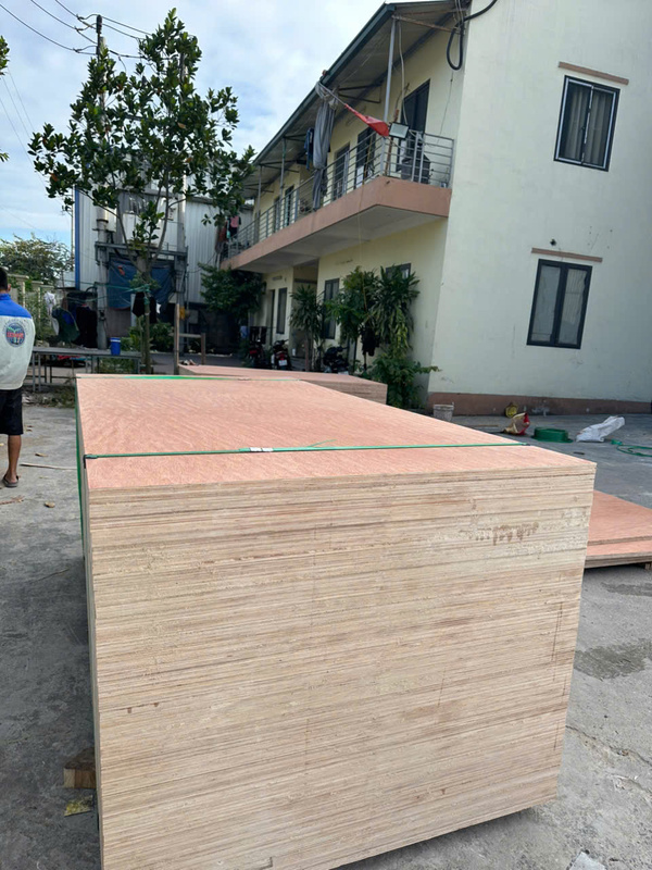 Mặt Bintangor - Ván ép Kinh Bắc - Công Ty TNHH Đầu Tư Thương Mại Xuất Nhập Khẩu Kinh Bắc