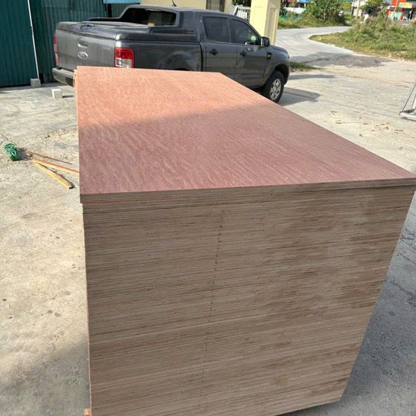 Mặt Bintangor - Ván ép Kinh Bắc - Công Ty TNHH Đầu Tư Thương Mại Xuất Nhập Khẩu Kinh Bắc