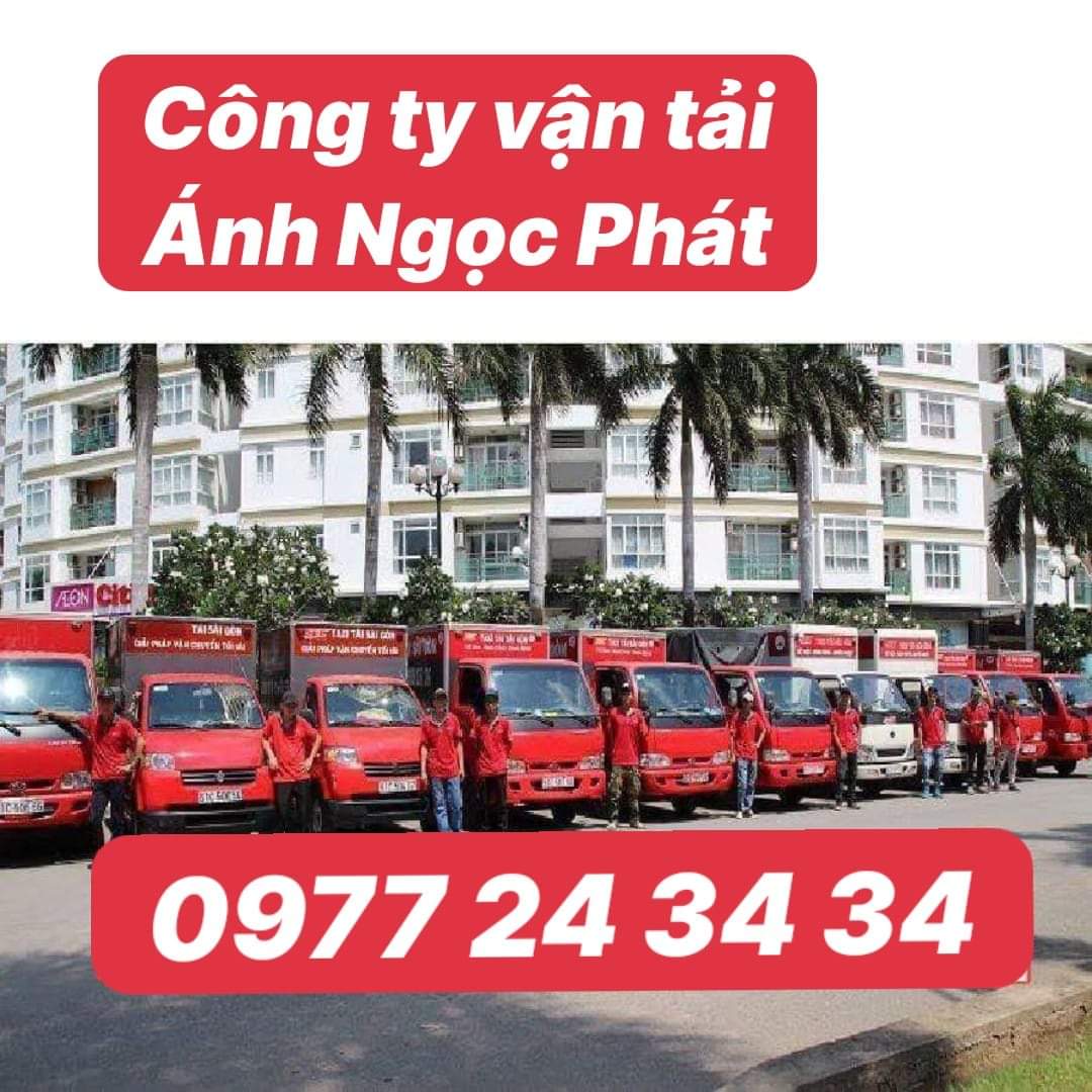  - Chi Nhánh - Công Ty TNHH Thương Mại Dịch Vụ ánh Ngọc Phát