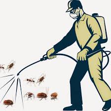 Dịch vụ diệt côn trùng
