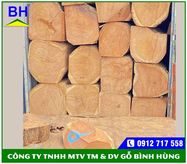Gỗ gõ Nigeria