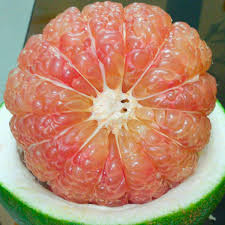 Bưởi da xanh