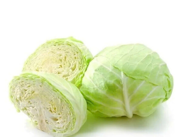 Bắp cải